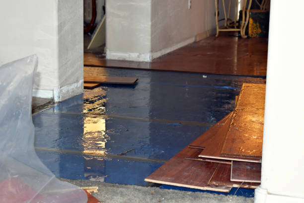Professional Burst Pipe Cleanup technician working in Preston, WA